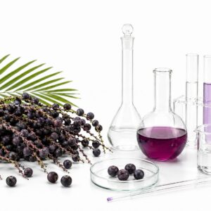 Extrato Aquoso de Açaí