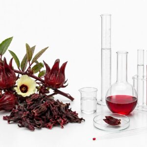 Extrato Aquoso de Hibisco 