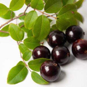 A jabuticaba (Plinia cauliflora) é um fruto nativo do Brasil, amplamente descrito na literatura botânica e valorizado por seu perfil sensorial característico. O extrato glicerinado preserva as características naturais da matéria-prima, como coloração e odor típicos, mantendo a identidade botânica do ingrediente. Este extrato é amplamente empregado por indústrias que buscam ingredientes vegetais de origem brasileira, com apelo natural, versatilidade técnica e facilidade de incorporação em diferentes sistemas de formulação, sempre em conformidade com as diretrizes regulatórias vigentes.