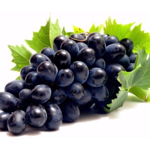 A essência de um fruto nobre convertida em ingrediente estratégico Obtido por maceração da planta em glicerina vegetal bidestilada, o Extrato Glicerinado de Uva Distriol é desenvolvido para indústrias que buscam ingredientes de origem vegetal, compatíveis com formulações aquosas, clean label e veganas. Com coloração e odor característicos da matéria-prima, este extrato preserva a identidade da uva e entrega versatilidade técnica, permitindo sua integração em diferentes conceitos de formulação com padronização, estabilidade e confiabilidade.