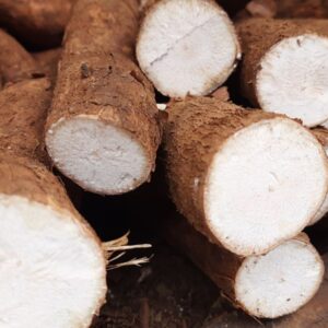 Extrato Glicólico de Mandioca