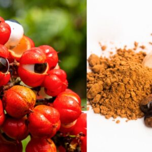 Extrato Aquoso de Guaraná