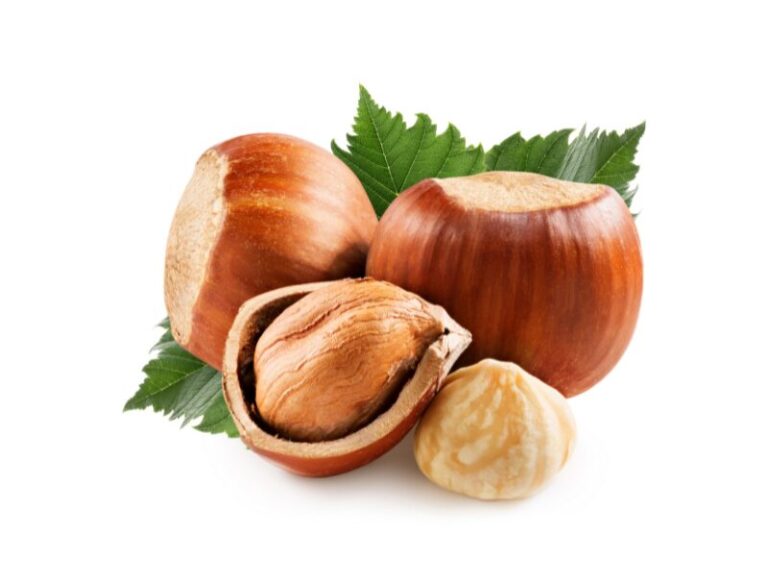 IMAGENS PARA SITE (12)