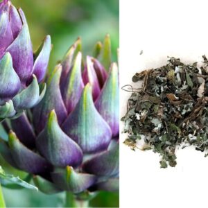 Extrato Aquoso de Alcachofra 