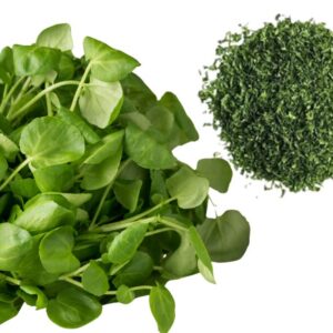 Extrato Aquoso de Agrião