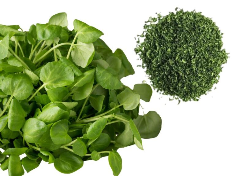 Extrato Aquoso de Agrião