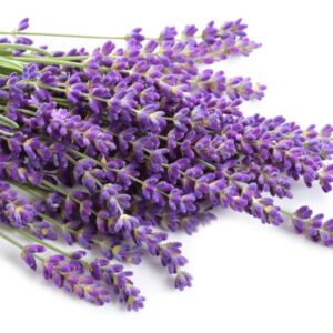 O Óleo de Alfazema Distriol traduz a essência do bem-estar e da calma natural. Extraído das flores de Lavandula officinalis, é um ingrediente 100% vegetal e vegano, reconhecido por seu aroma suave e propriedades calmantes, purificantes e revitalizantes. Sua composição equilibrada garante estabilidade, compatibilidade e padronização industrial, tornando-se a escolha perfeita para marcas que valorizam naturalidade, sensorial sofisticado e performance técnica em suas formulações.