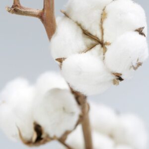 Óleo de Algodão Distriol