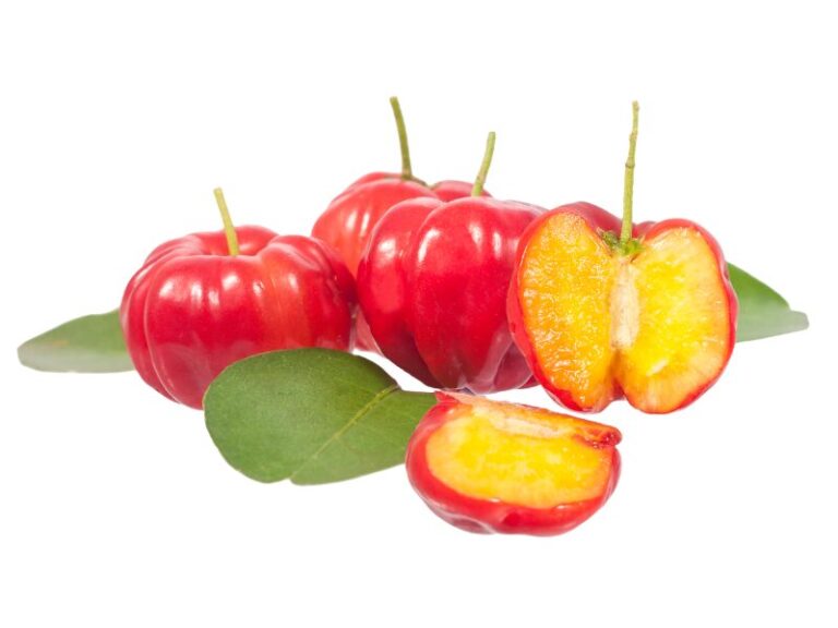 IMAGENS PARA SITE (38)