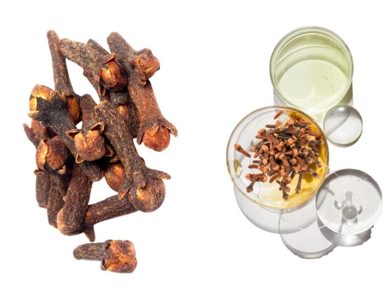 IMAGENS PARA SITE (45)