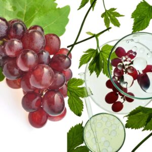 Extrato Aquoso de Uva
