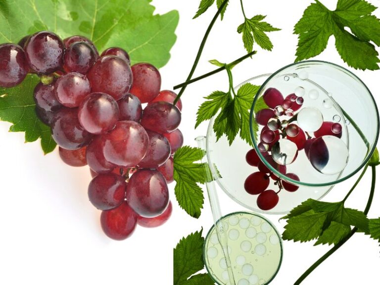 IMAGENS PARA SITE (46)