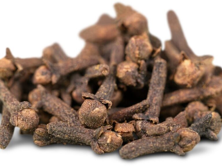 Extrato Glicólico de Cravo-da-Índia é um ingrediente vegetal amplamente utilizado pela indústria cosmética e de cuidados pessoais, reconhecido por seu perfil aromático marcante, versatilidade técnica e excelente compatibilidade em diferentes tipos de formulações.