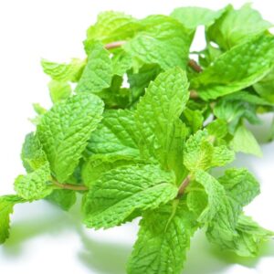 Óleo Esssencial de Menta Arvensis