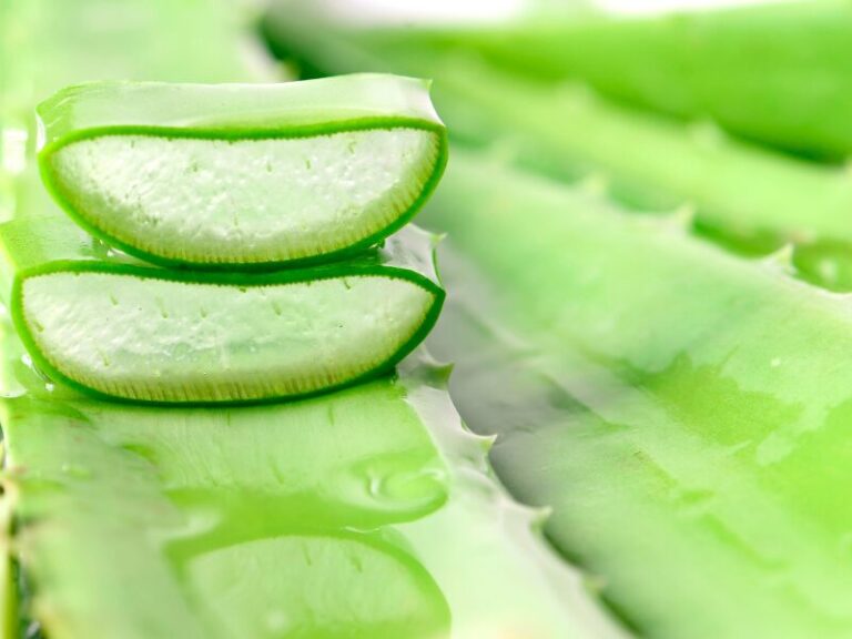 ÓLEO DE ALOE VERA