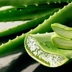 Com excelente aceitação em cosméticos, higiene pessoal, cuidados capilares, produtos pet e até em aplicações técnicas, o extrato de aloe vera destaca-se por sua ação sensorial leve, toque suave e perfil vegetal limpo — ideal para marcas que buscam desenvolver produtos com diferenciação, eficiência e ingredientes reconhecidos.