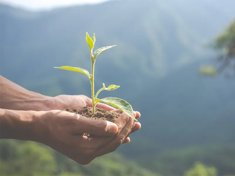 sustentabilidade Distriol